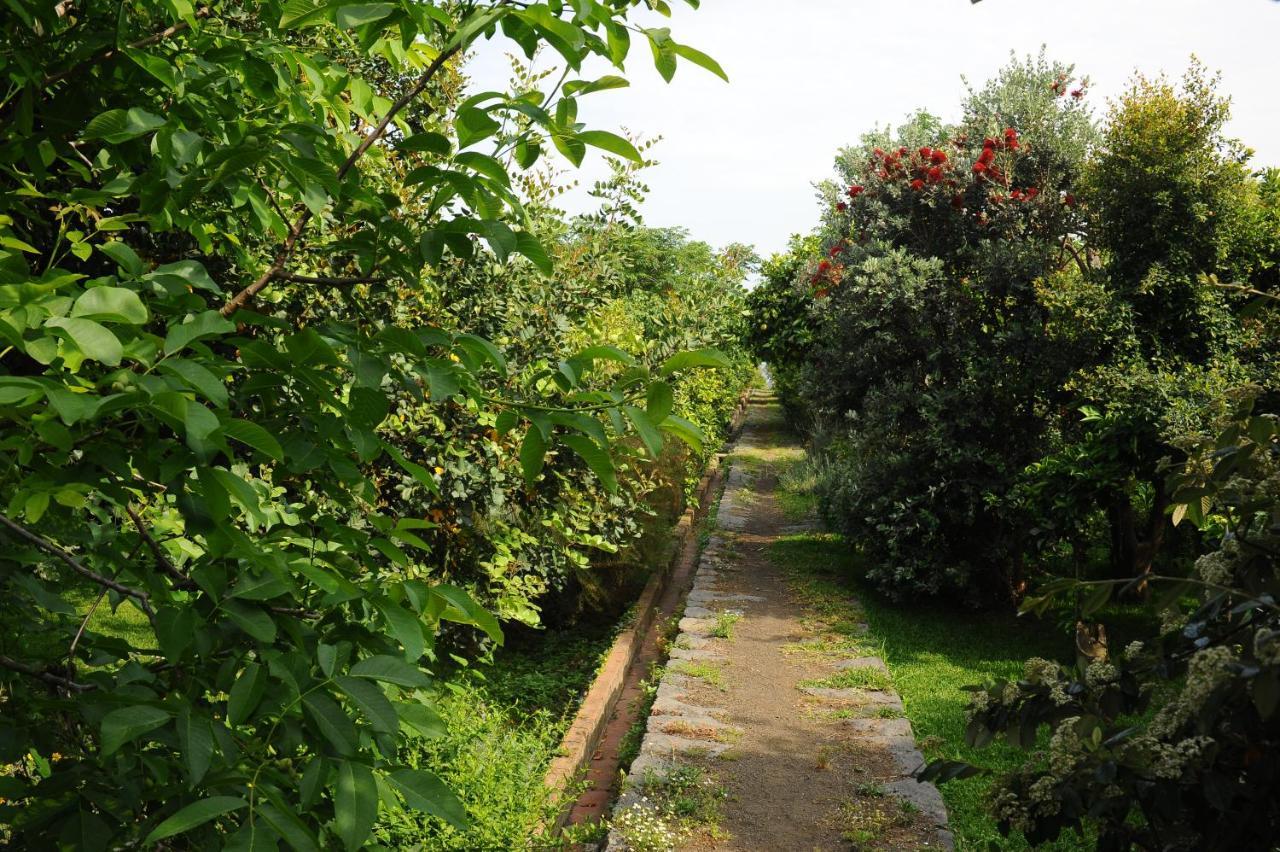Tenuta Santa Tecla Acireale Εξωτερικό φωτογραφία