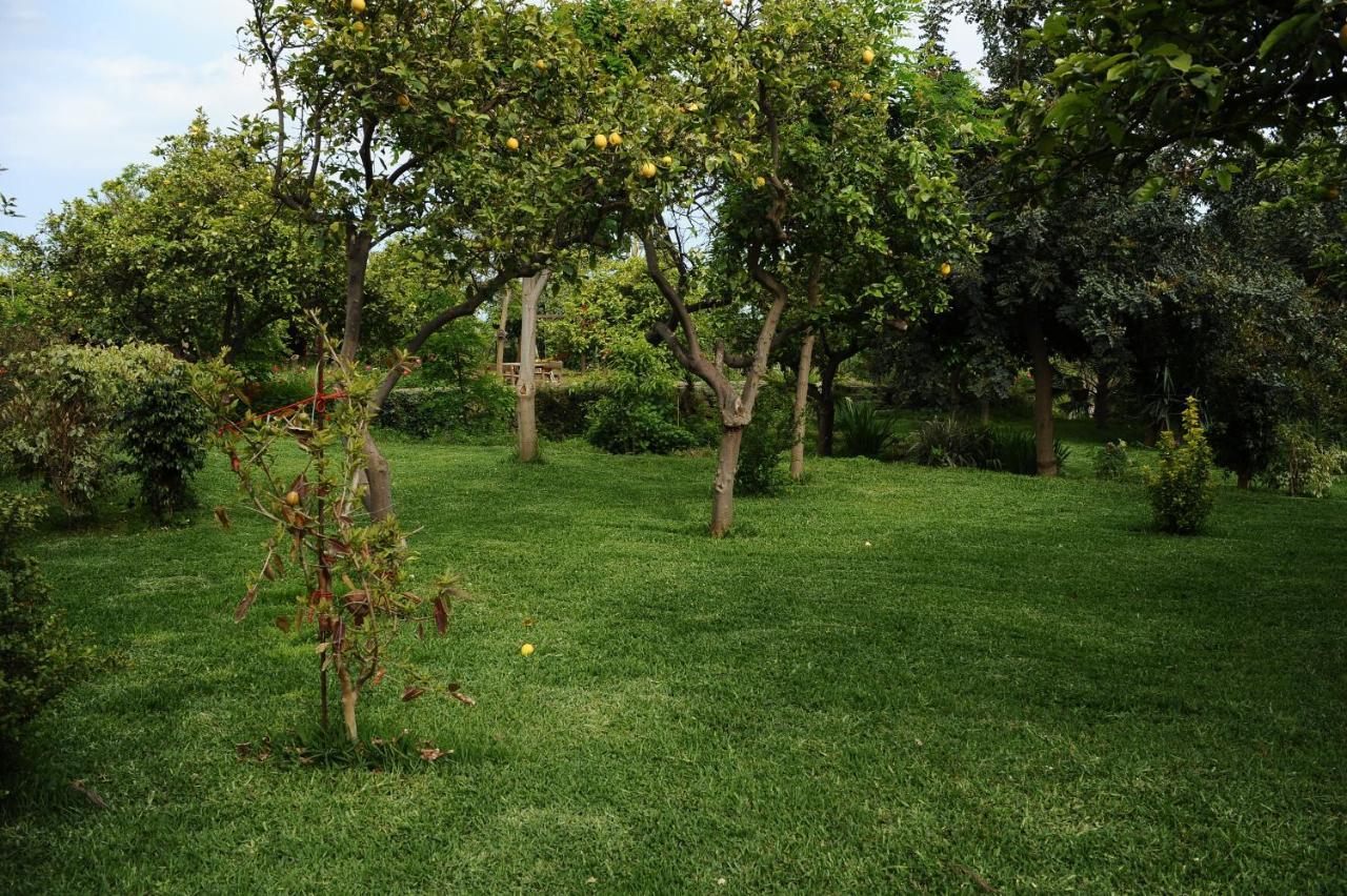 Tenuta Santa Tecla Acireale Εξωτερικό φωτογραφία